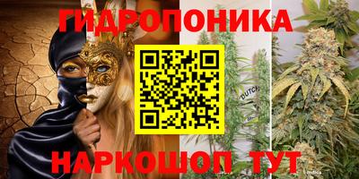 первитин Заводоуковск