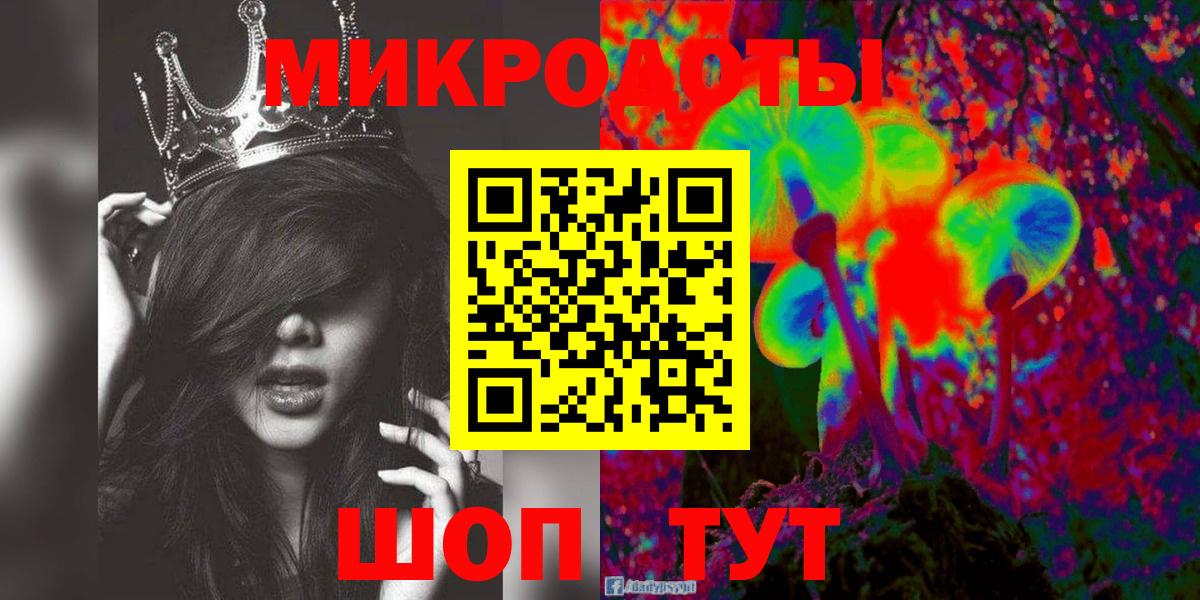Горно-Алтайск  Галлюциногенные грибы Psilocybe  Вход с VPN 