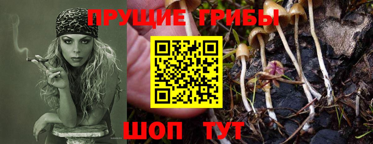 LSD-25  ЭКСТАЗИ  Alpha PVP СОЛЬ   МЕФ кристаллы  ТГК  Горно-Алтайск  ГАШИШ  МЕТ  Вход с VPN 